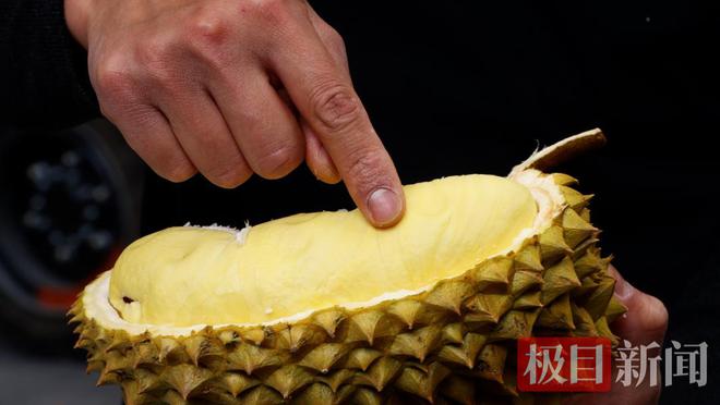 热”持续发酵消费者迎来“甜蜜”囤货期J9数字平台端午节后孝感首衡城“榴莲(图3)